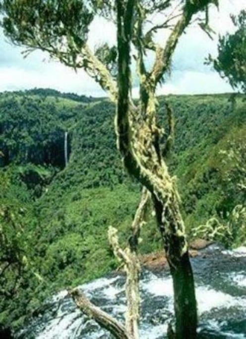 Maverick Camp, Rondavels And Homestay Nyandarua 外观 照片