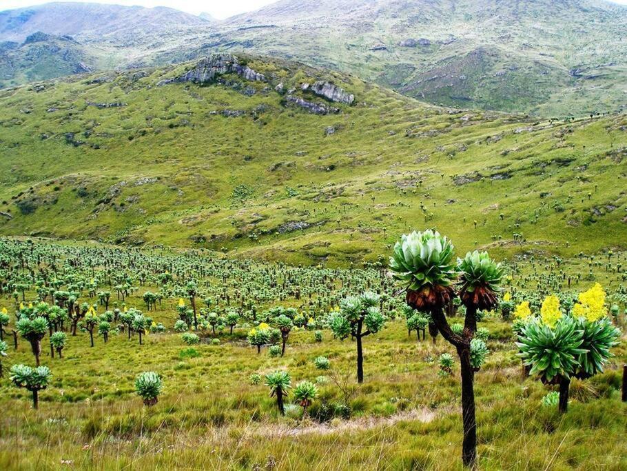 Maverick Camp, Rondavels And Homestay Nyandarua 外观 照片